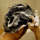 メソケアプラスの洗髪時画像